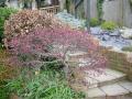 DSC03055