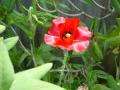 DSC03199