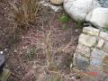 DSC00186