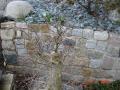 DSC00187