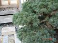 DSC00188