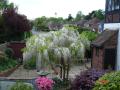 DSC00339