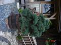 DSC00347