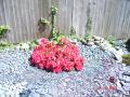 DSC00349