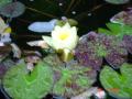 DSC00589