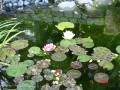 DSC00609
