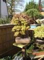 Dsc00211