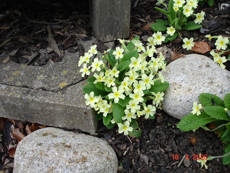DSC00671.JPG