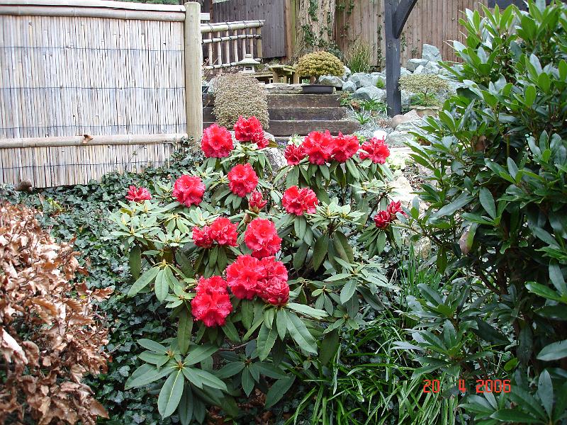 DSC00675.JPG