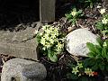 DSC00656