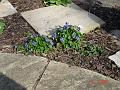 DSC00707