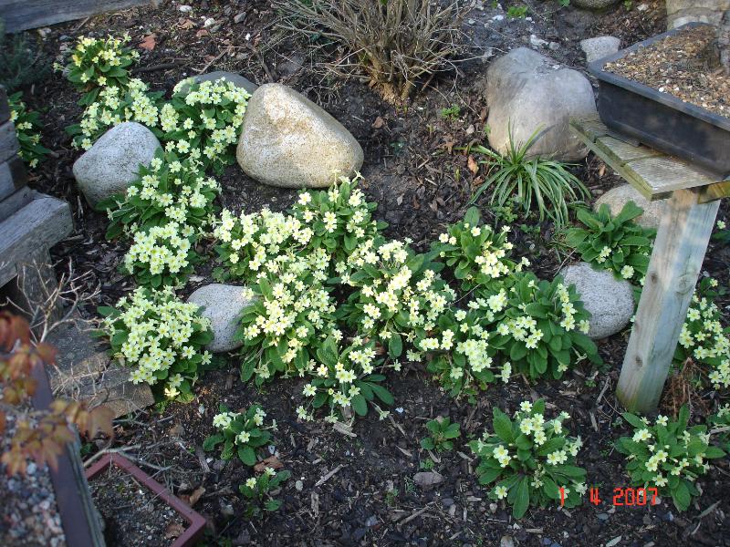 DSC01765.JPG