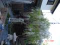 DSC02076