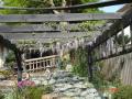 DSC02098