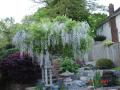 DSC02184