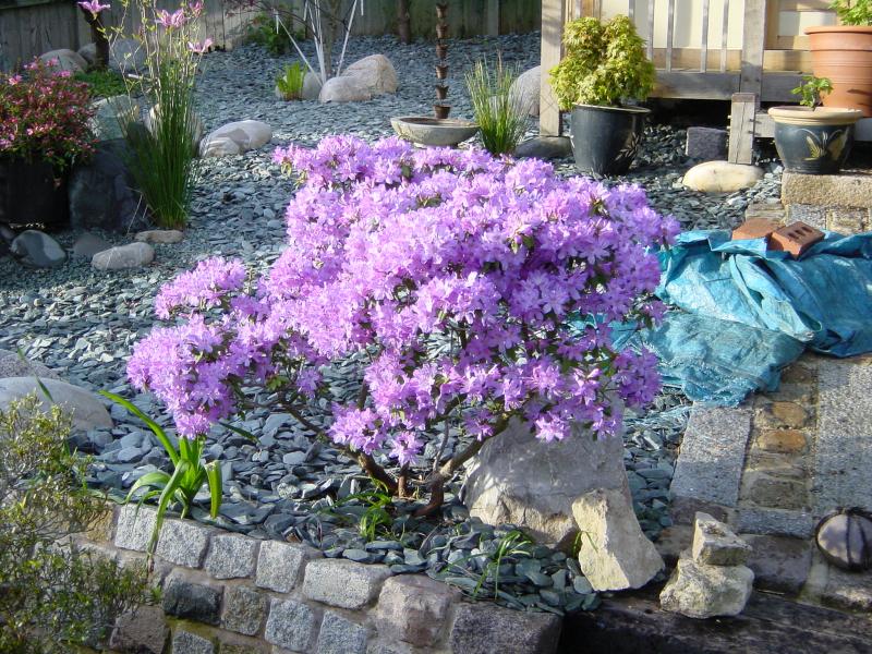 DSC03080.JPG