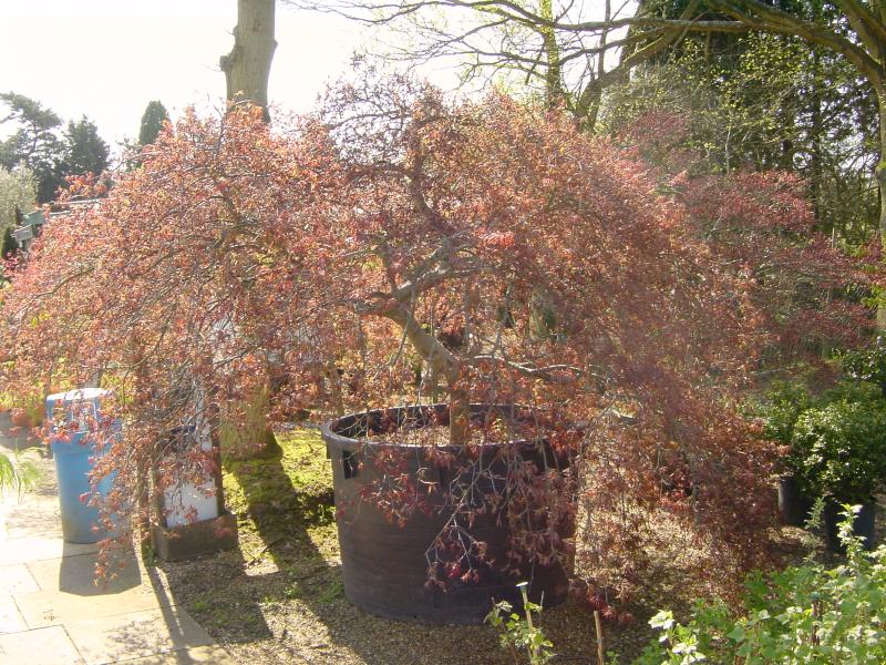 DSC03085.JPG