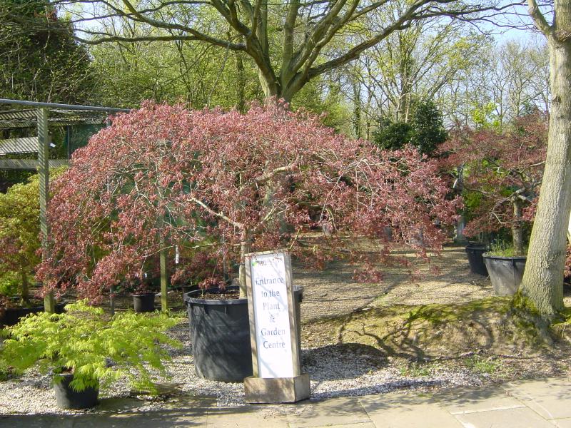 DSC03086.JPG