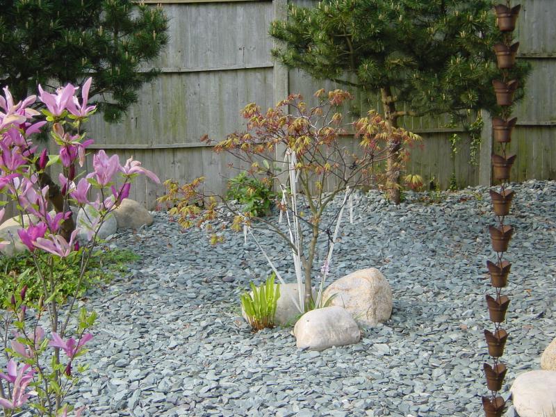 DSC03102.JPG