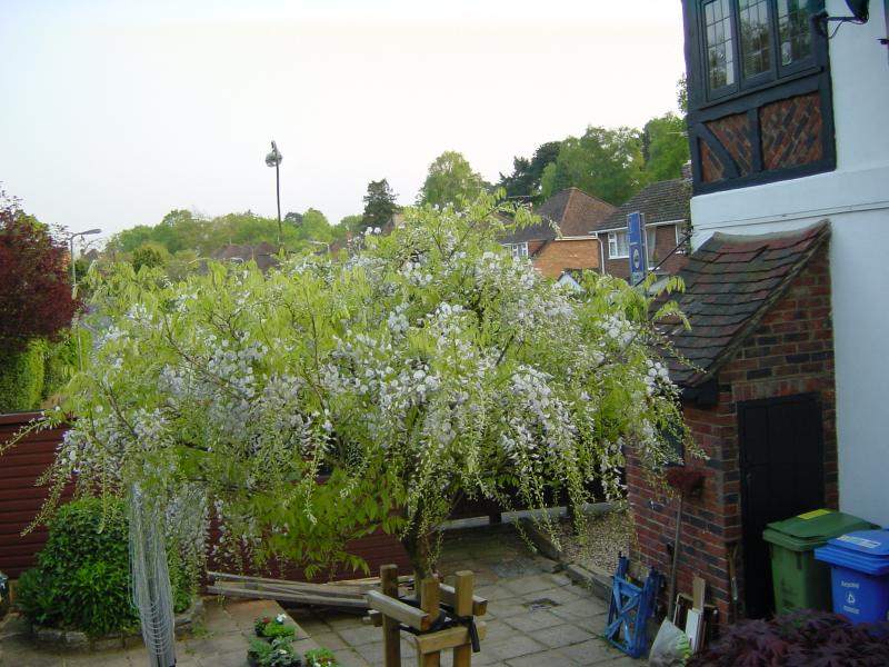 DSC03169.JPG