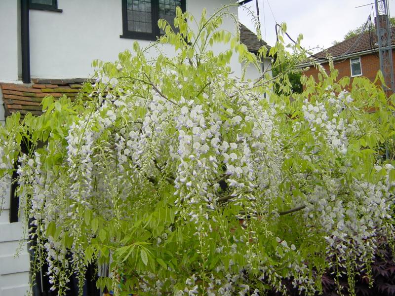 DSC03174.JPG
