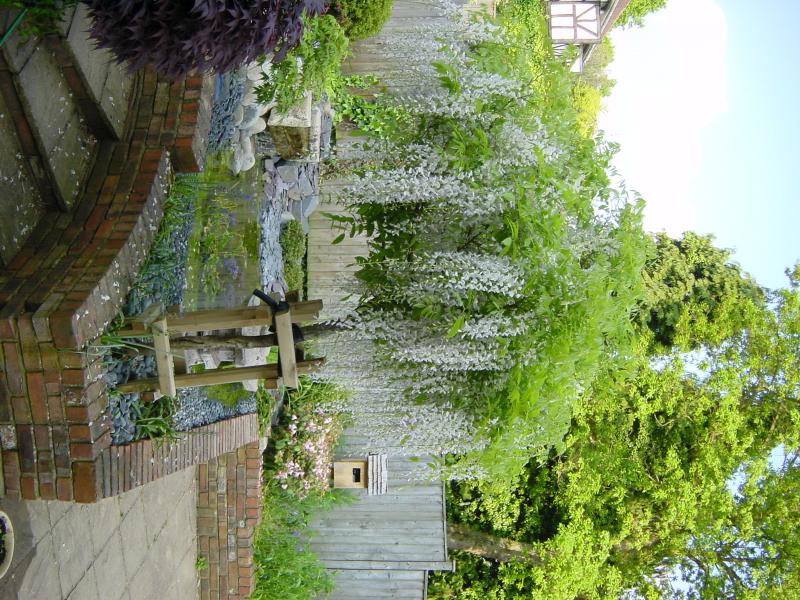 DSC03184.JPG