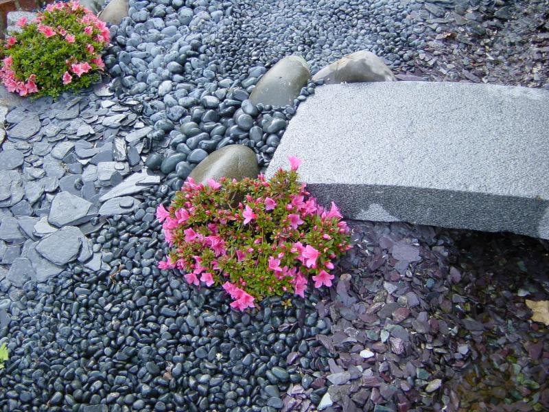 DSC03210.JPG