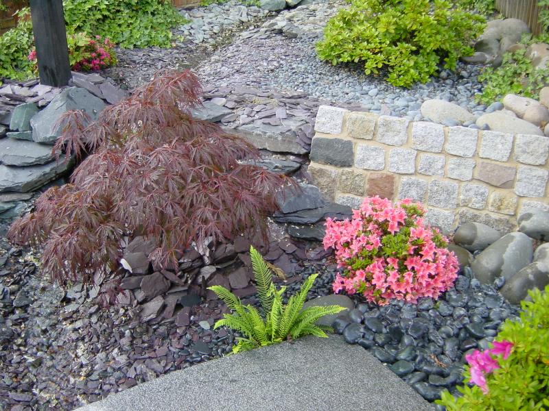 DSC03211.JPG