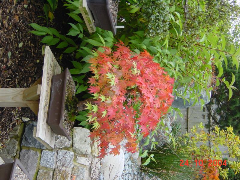 DSC03321.JPG