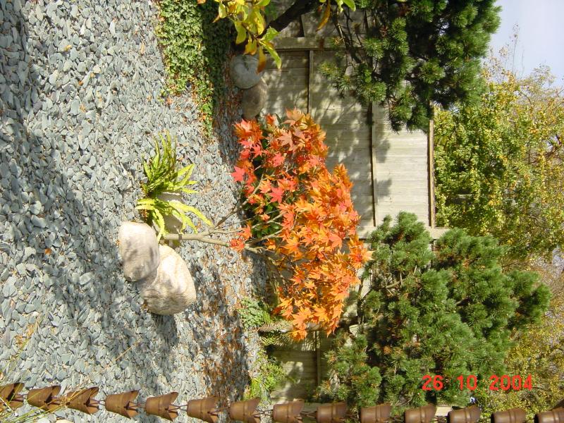 DSC03324.JPG