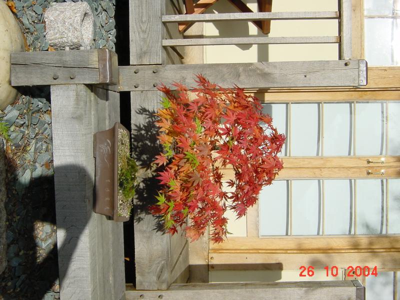 DSC03325.JPG