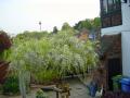 DSC03169