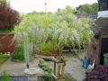 DSC03170
