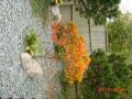 DSC03322