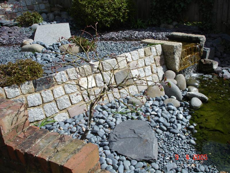 DSC00239.JPG