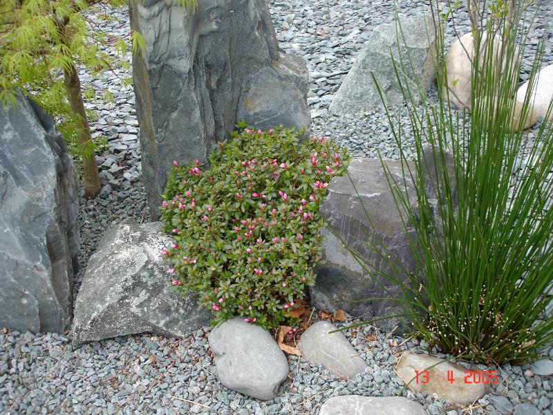 DSC00257.JPG