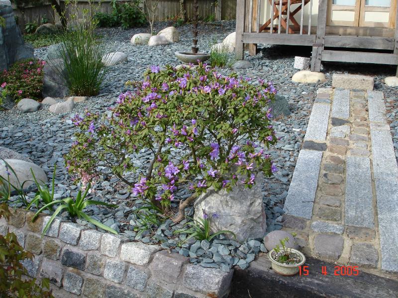 DSC00265.JPG
