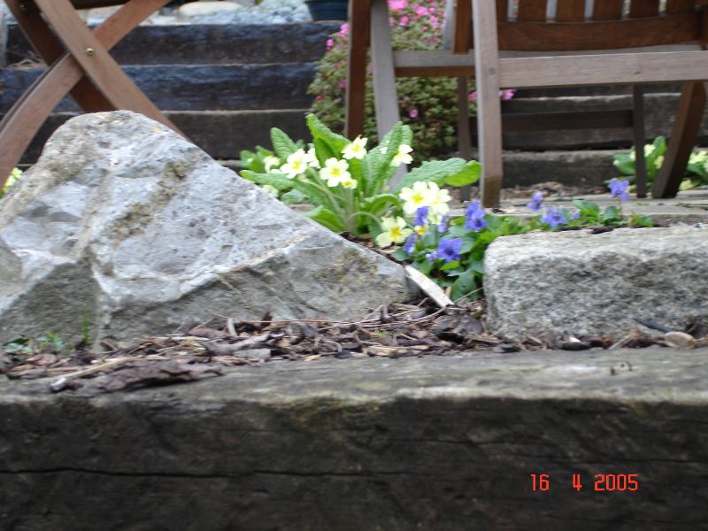 DSC00276.JPG
