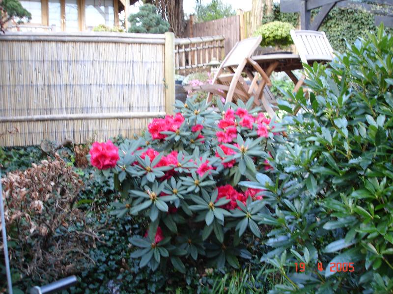 DSC00278.JPG