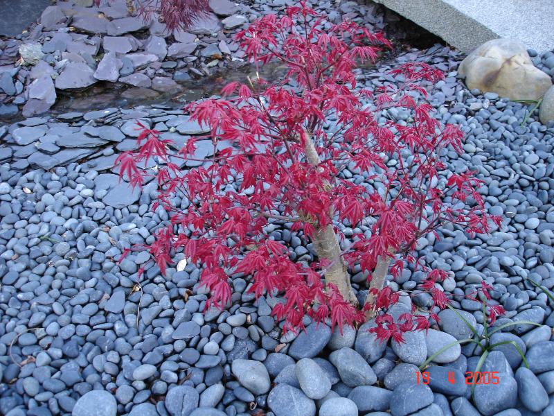 DSC00280.JPG