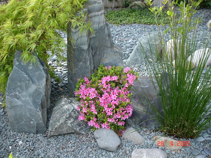 DSC00307.JPG