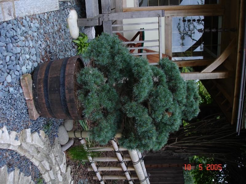 DSC00347.JPG