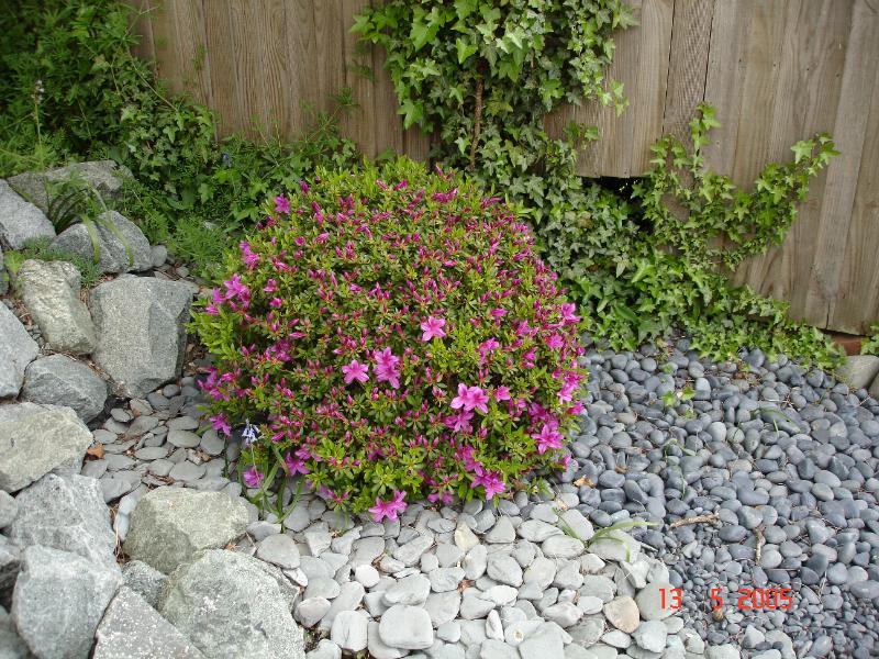 DSC00363.JPG