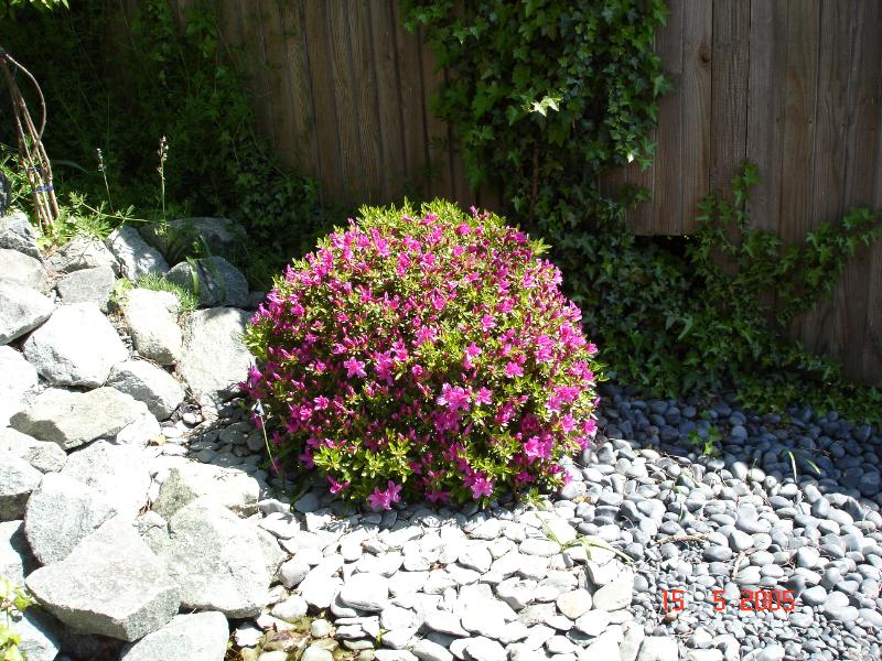 DSC00368.JPG