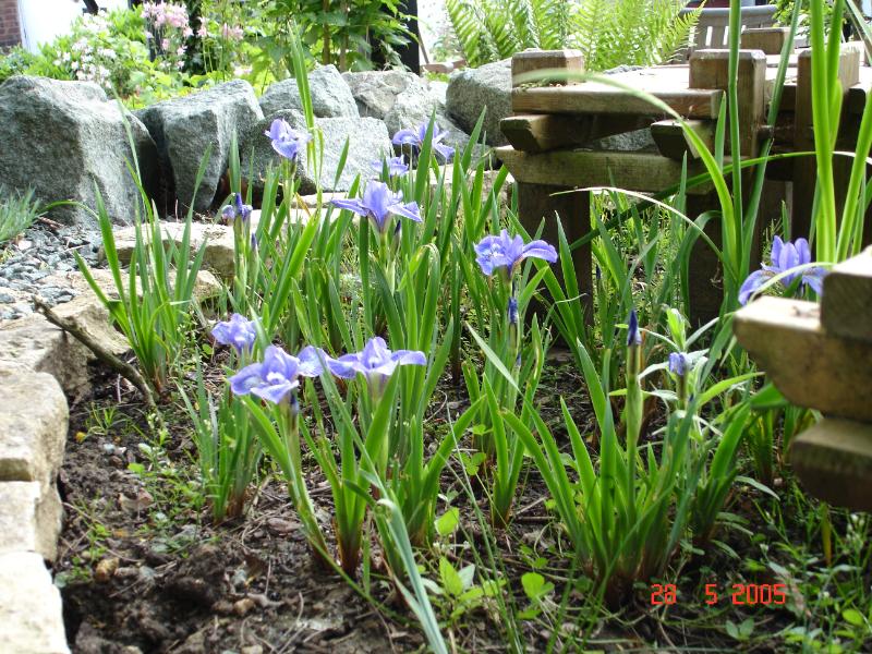 DSC00386.JPG