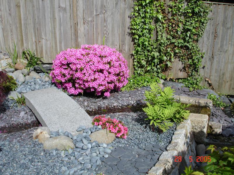 DSC00389.JPG