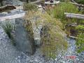 DSC00232