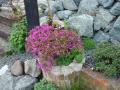 DSC00255