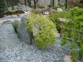 DSC00260