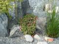 DSC00267